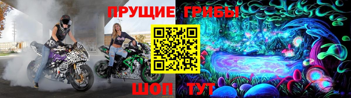 Чайковский  Псилоцибиновые грибы мухоморы  Вход с VPN 